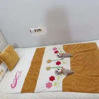 روتختی کودک برجسته|سرویس روتختی|پیر بکران, |دیوار