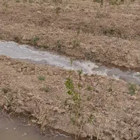باغ ۵۰۰متری خلج اباد