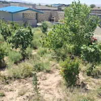 باغچه-آماده-و-همه-چیز-تمام-به-قیمت