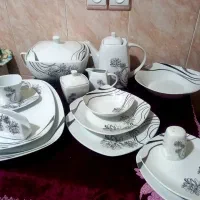 ظروف چینی