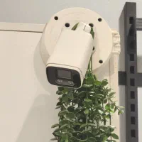 ۲عدد دوربین مداربسته|دوربین مداربسته|جویبار, |دیوار