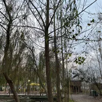پروژه ناب ایران|فروش خانه و ویلا|تهران, دبستان|دیوار