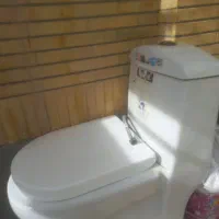 توالت فرهنگی