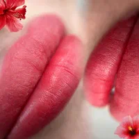 نیازمند مدل جهت شیدینگ لب و تینت لب|خدمات آرایشگری و زیبایی|شیراز, قصرالدشت|دیوار