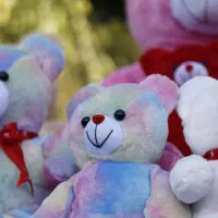 خرس|اسباب‌بازی بچه|سقز, |دیوار