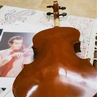 ویولن|ویولن|زنجان, |دیوار