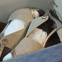 کفش مجلسی