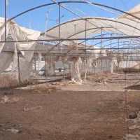 فروش سازه گلخانه|مصالح و تجهیزات ساختمان|مبارکه, |دیوار