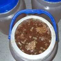 عسل گون|خوردنی و آشامیدنی|اصفهان, عمان سامانی|دیوار