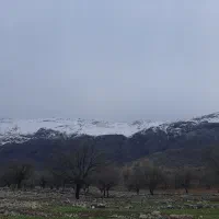 فروش حواله ساینا  sطرح جوانی