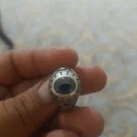 سهره|پرنده|نسیم‌شهر, |دیوار
