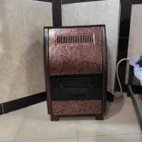 بخاری سالم و تازه