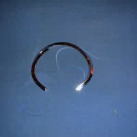 دسبند|بدلیجات|رشت, فلسطین|دیوار