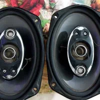 باند پایونیر ۶۹۹۲ امپیلی خور|قطعات یدکی و لوازم جانبی|مشکیندشت, |دیوار