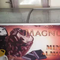 یخچال ایستاده ویخچال بستنی|کافیشاپ و رستوران|ورامین, ریحان آباد|دیوار