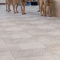سرابی نامبر وان ...