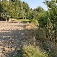 ۱۰۰۰ متر باغ در منطقه پیربکران نقدی یا معاوضه|فروش زمین و ملک کلنگی|اصفهان, شفق|دیوار