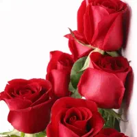 پیوند گل و میوه