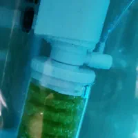 اکواریوم نو نووکامل