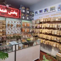 همکار خانم