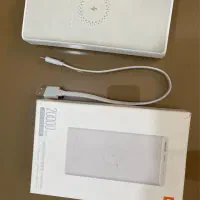 پارو بانک شیامی