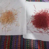 گل و گیاه