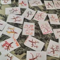 مهدالرضا راه بهشت.پیش دبستانی|خدمات آموزشی|زاهدان, |دیوار