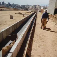 کبوتر ۸۲ سکنا