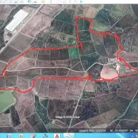 شالیزار‌وباغی