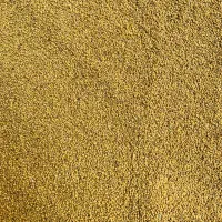 بذر یونجه|گل و گیاه طبیعی|میاندوآب, |دیوار