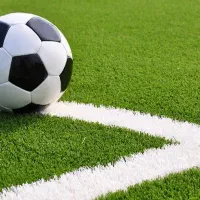 شرکت تولید چمن مصنوعی در چند شعبه|خدمات باغبانی و درختکاری|تهران, شهرک هما|دیوار