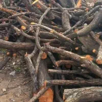 خرید و فروش انواع چوب