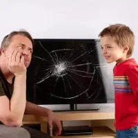 محافظ صفحه تلویزیون