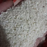 برنج ریزدانه هاشمی برنج سیچکا برای ارد