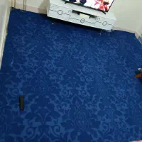 موکت طوسی و آبی|موکت|تهران, اسفندیاری|دیوار