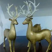 مجسمه دکوری|مجسمه، تندیس، ماکت|کلاله, |دیوار