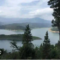 همراه اشپزی حرفه ای در طبیعت