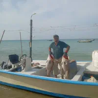 صید و عرضه مستقیم انواع ماهی و محصولات اقیانوس