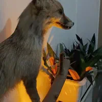 رستوران قلعه باغ|استخدام خدمات فروشگاه و رستوران|خمینی‌شهر, |دیوار