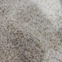 برنج طارم دم سیاه مینودشت درجه یک آب چشمه|خوردنی و آشامیدنی|مینودشت, |دیوار