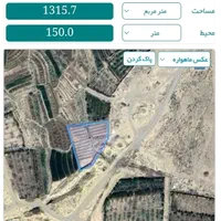 زمین باغ پسته حدودا ۱۳۵۰متر با برق و آب کشاورزی