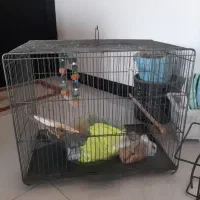قفس پرنده