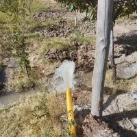 چاه کن یا همان کنکان