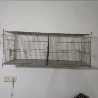 قفس قناری جوجه پران