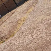 زمین ساختمانی نیایش 12