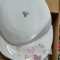 آرک و پال 6نفرع