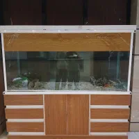 اکواریوم خیلی بزرگ با تجهیزات کامل و همه چی