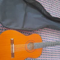 گیتار|گیتار، بیس، امپلیفایر|فاضل آباد, |دیوار