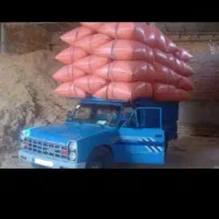 کاه گندم دیم