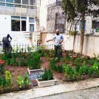 باغبانی باغچه فضای سبز باغ ویلا منزل